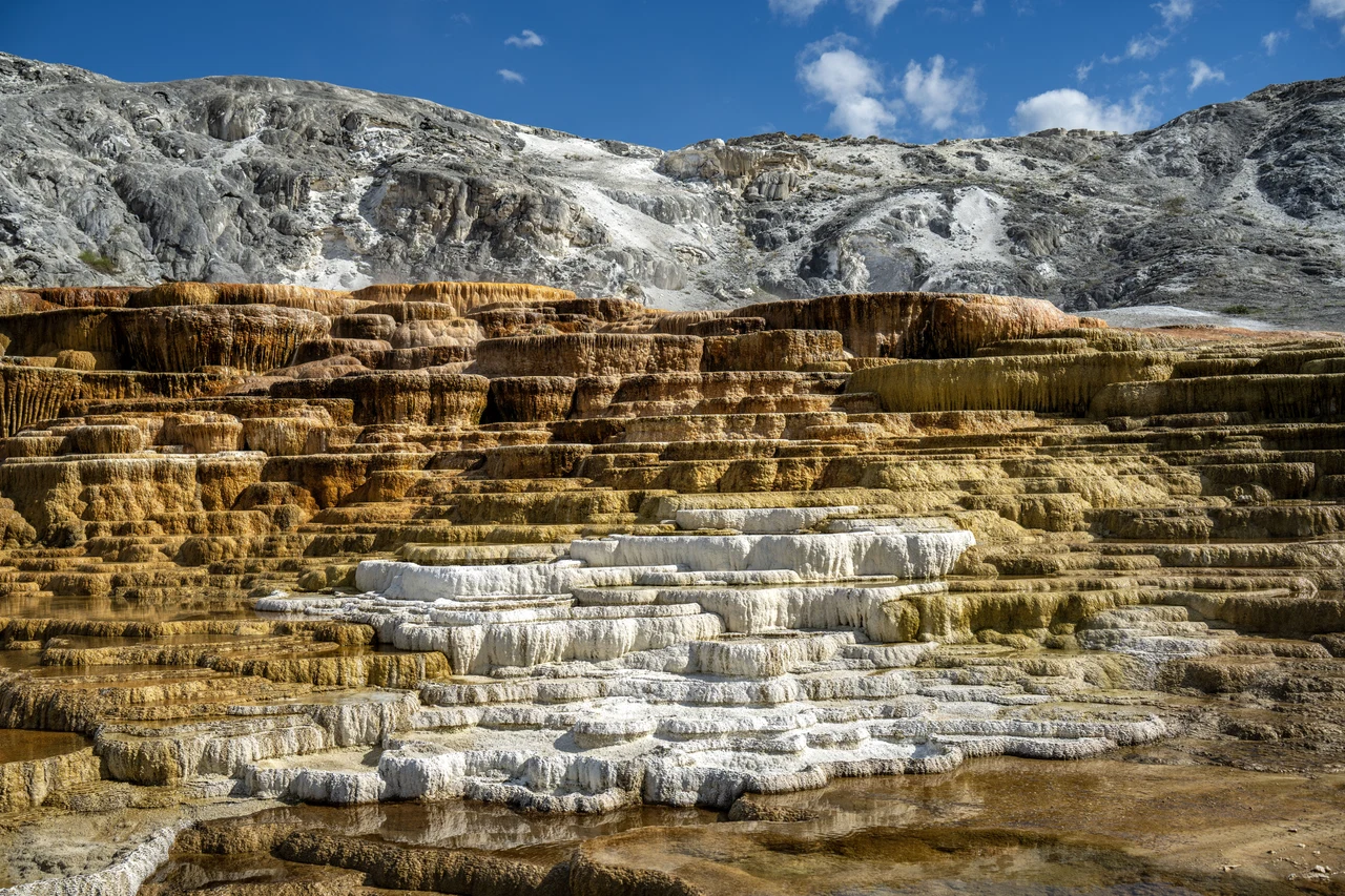 Hot Mammoth Springs (Yellowstone NP) / Wyoming 