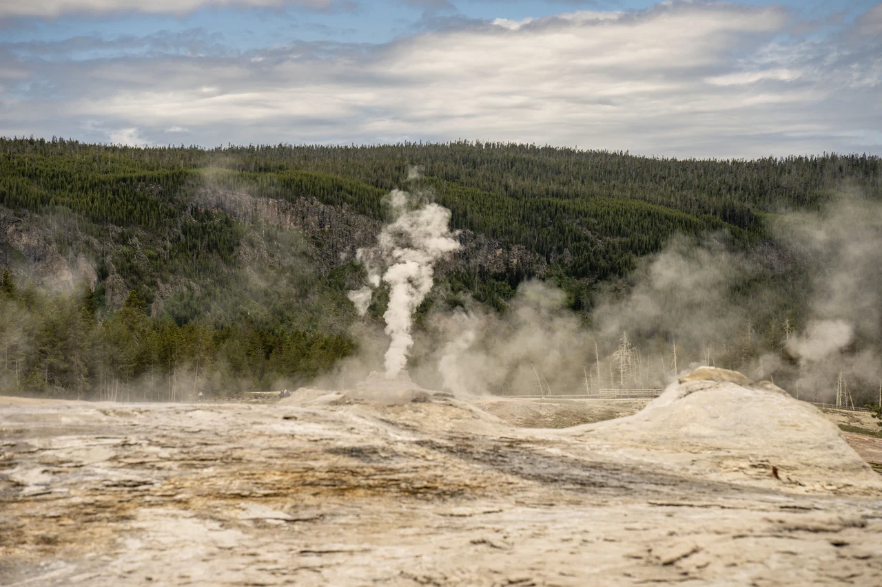 Yellowstone NP / Wyoming